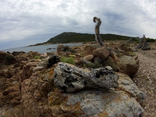 DCIM100GOPRO