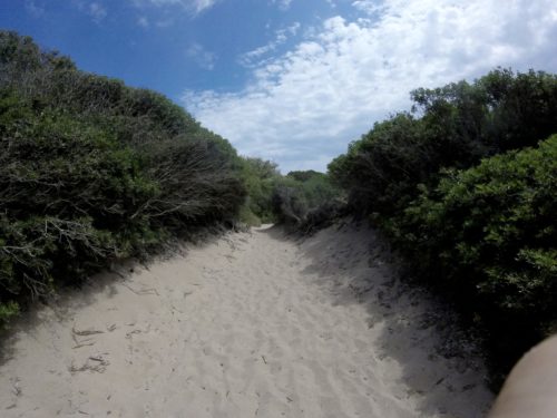 DCIM100GOPRO