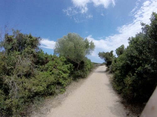 DCIM100GOPRO